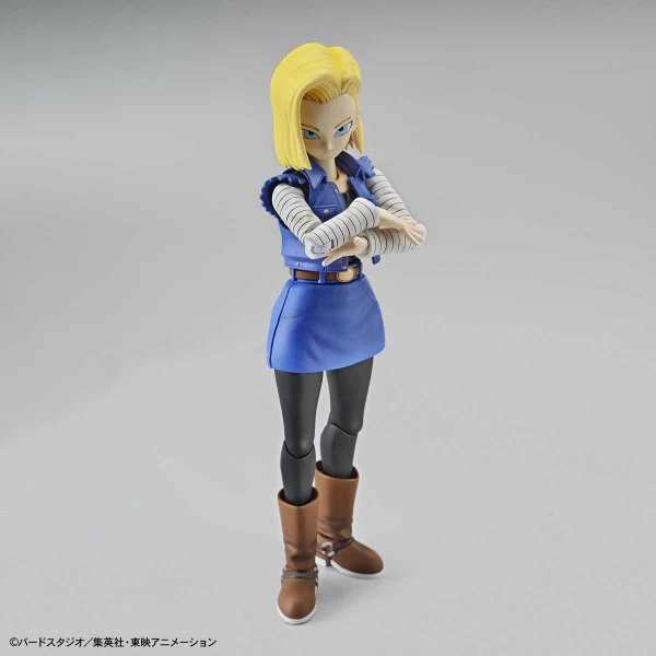 Figure-rise Standard ANDROID No. 18 (Renewal Version) - Image 2