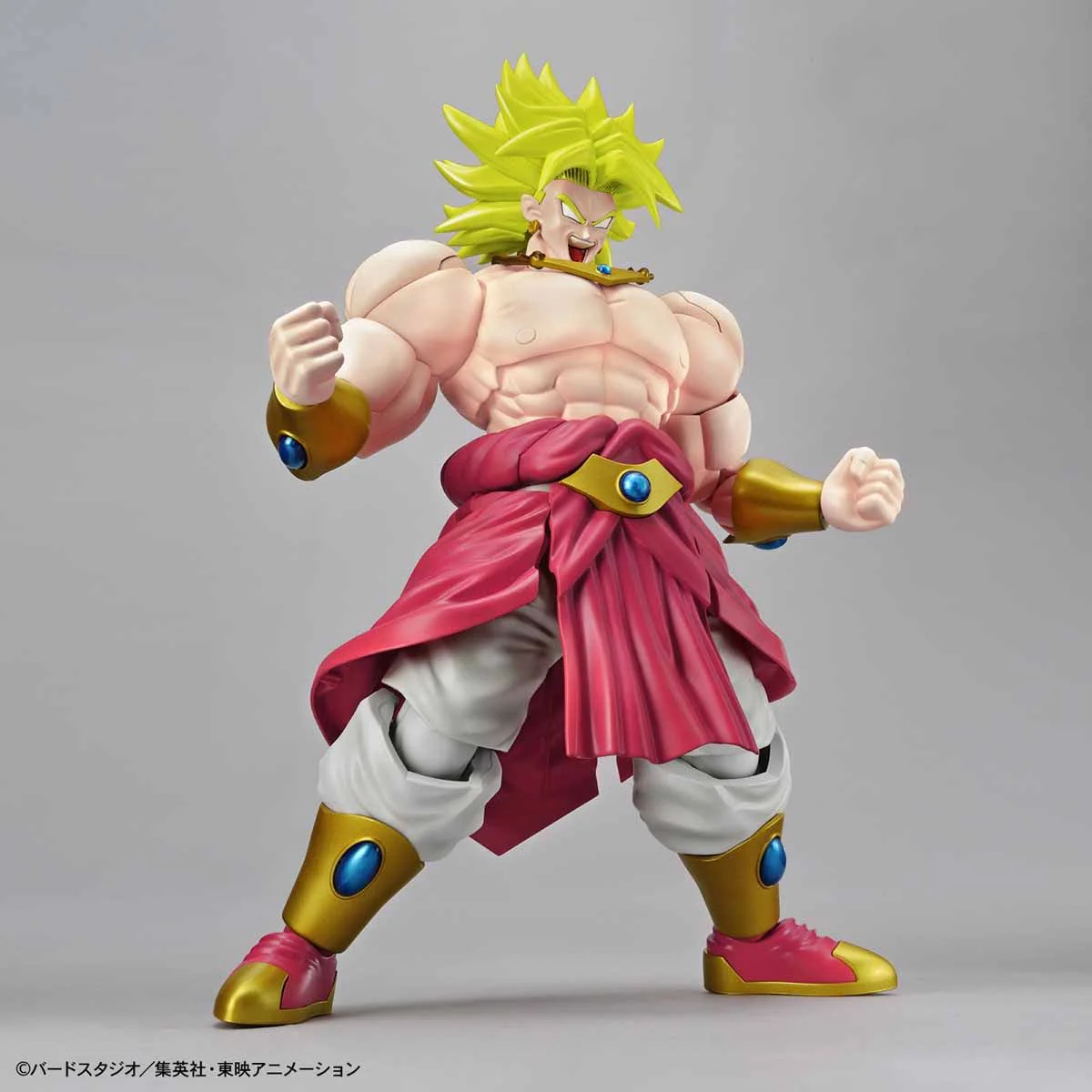 Figure-rise Standard LEGENDARY SUPER SAIYAN BROLY (PKG RENEWAL) - Image 11