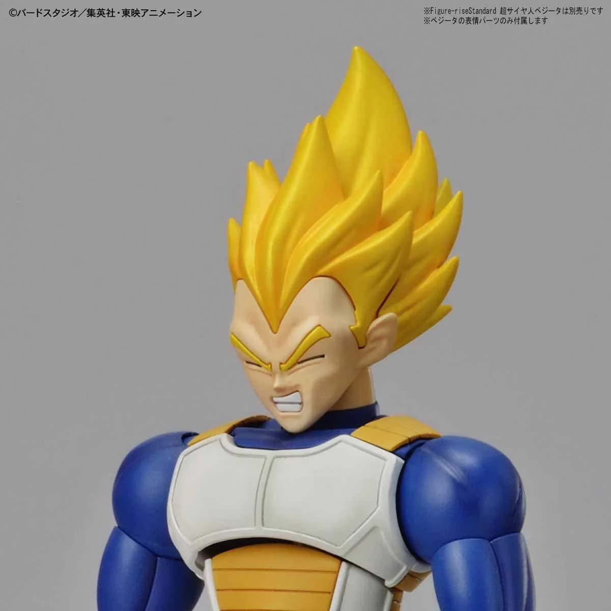 Figure-rise Standard LEGENDARY SUPER SAIYAN BROLY (PKG RENEWAL) - Image 6