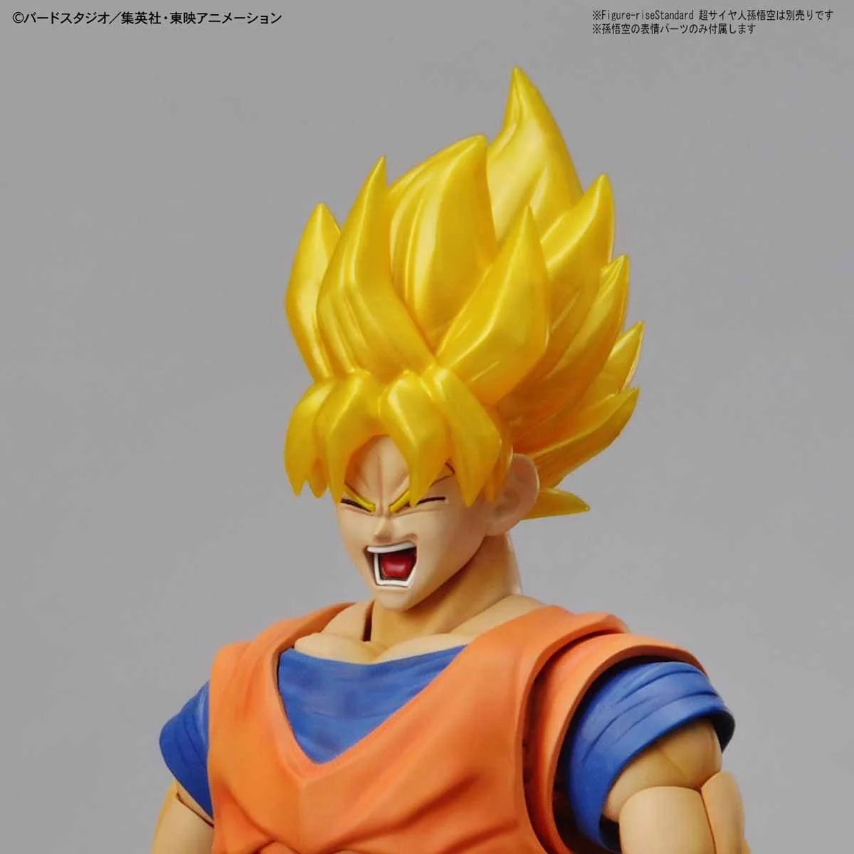 Figure-rise Standard LEGENDARY SUPER SAIYAN BROLY (PKG RENEWAL) - Image 7