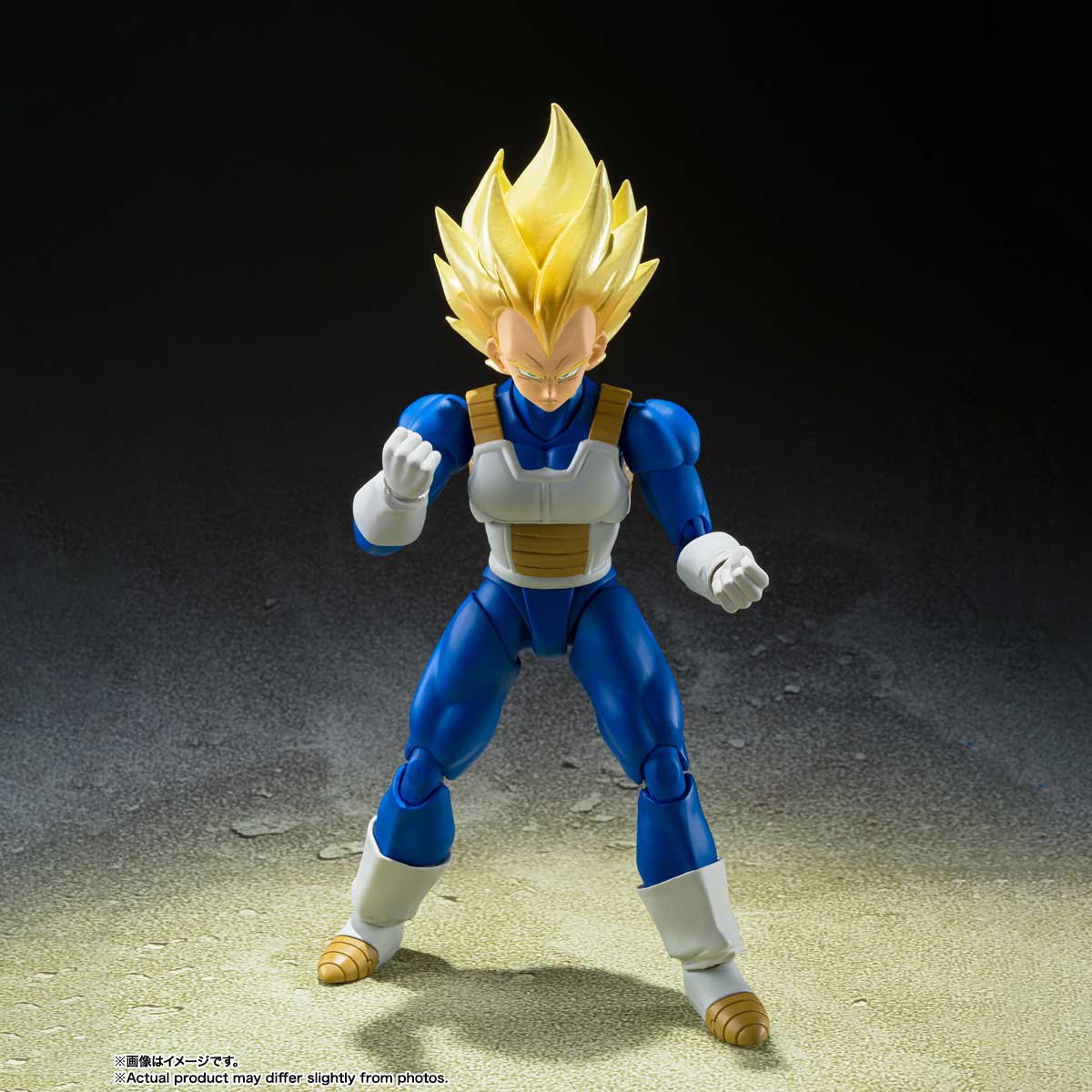 (Pre-Order CLOSED)  ETA Q2 2025 - Super Saiyan Vegeta -Awakened Super Saiyan Blood-